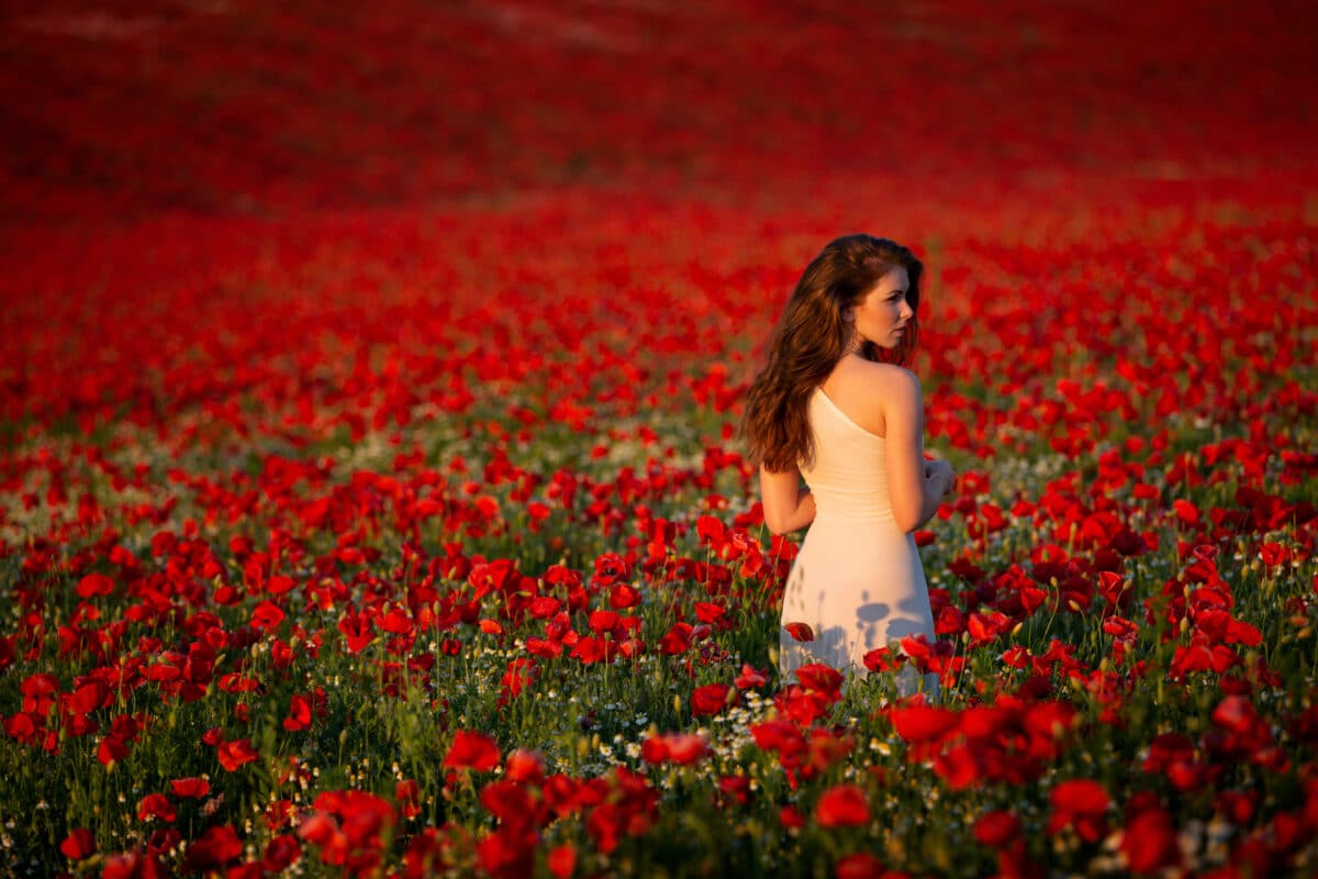 enchanting long haired brunette woman stands in white dress in a field of red poppies