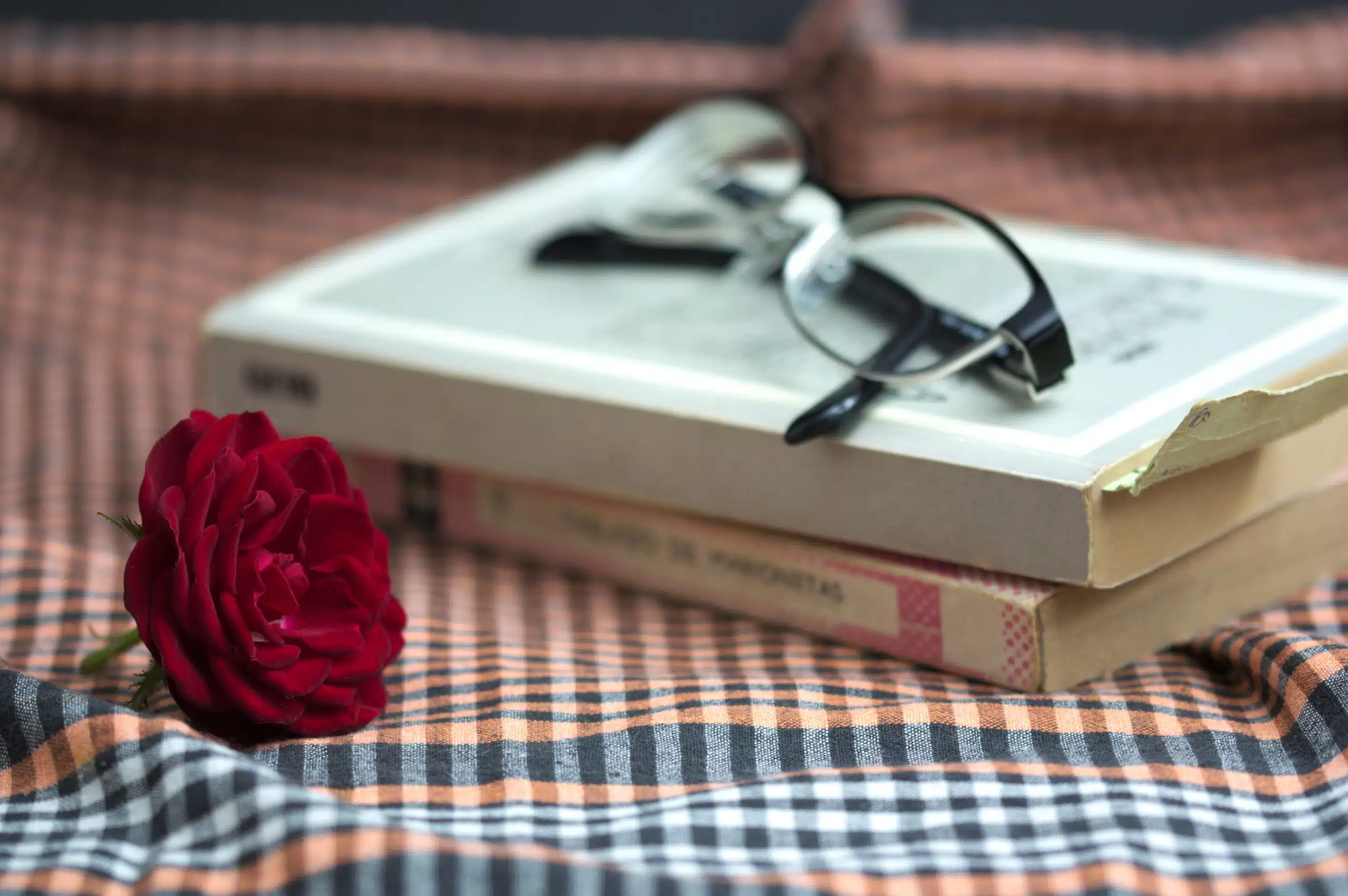 Some reading books on which there are glasses and a rose.
