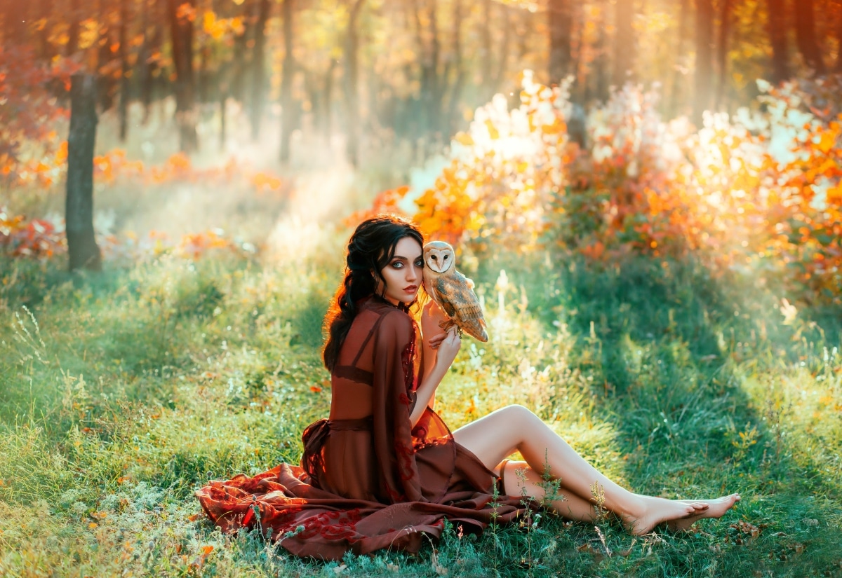 Fairy tale fantasy woman sitting on green grass in rays of the autumn sun, holding a barn owl in hands.