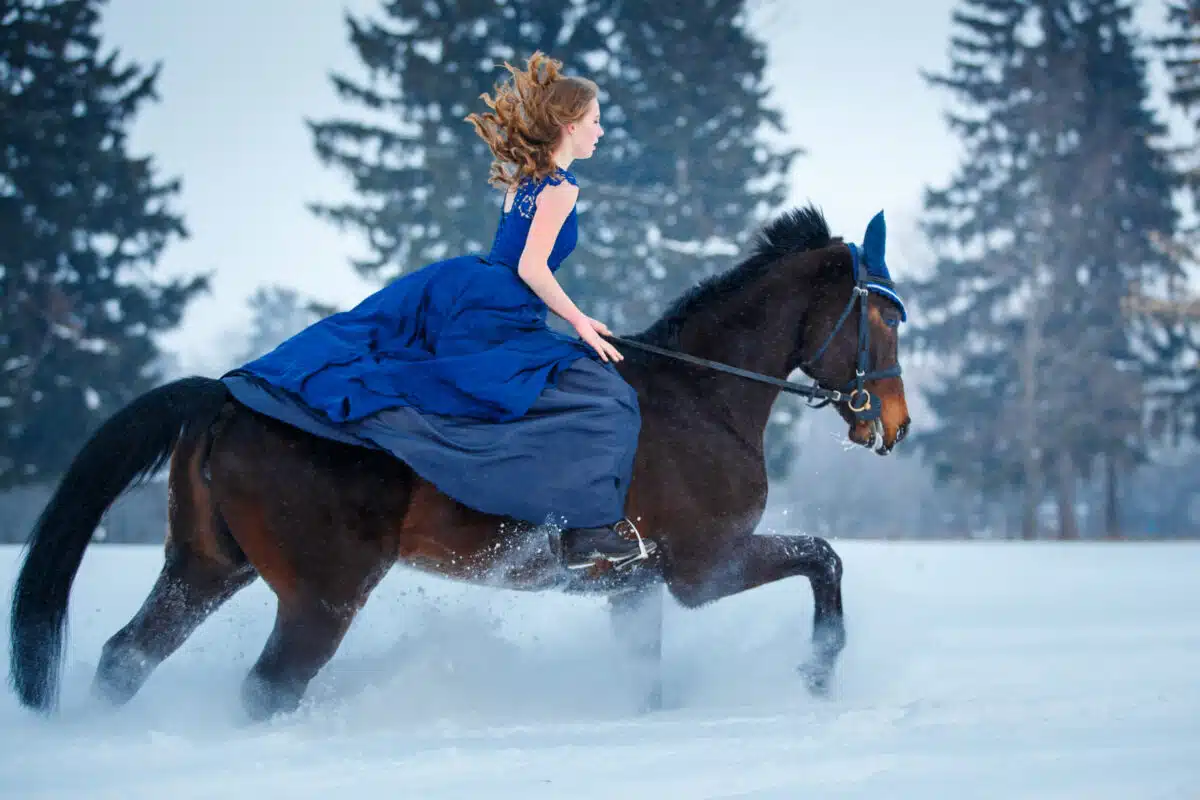 Young lady in a blue dress riding horse on winter field