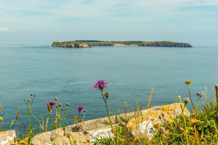 the cliff edge at Lydstep, Wales across the bay to Caldey Island