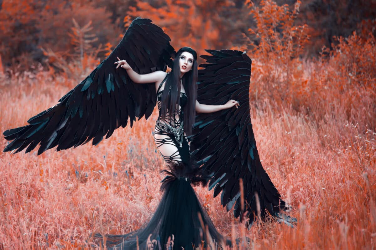 Black Angel. Pretty girl-demon with black wings. An image for Ha