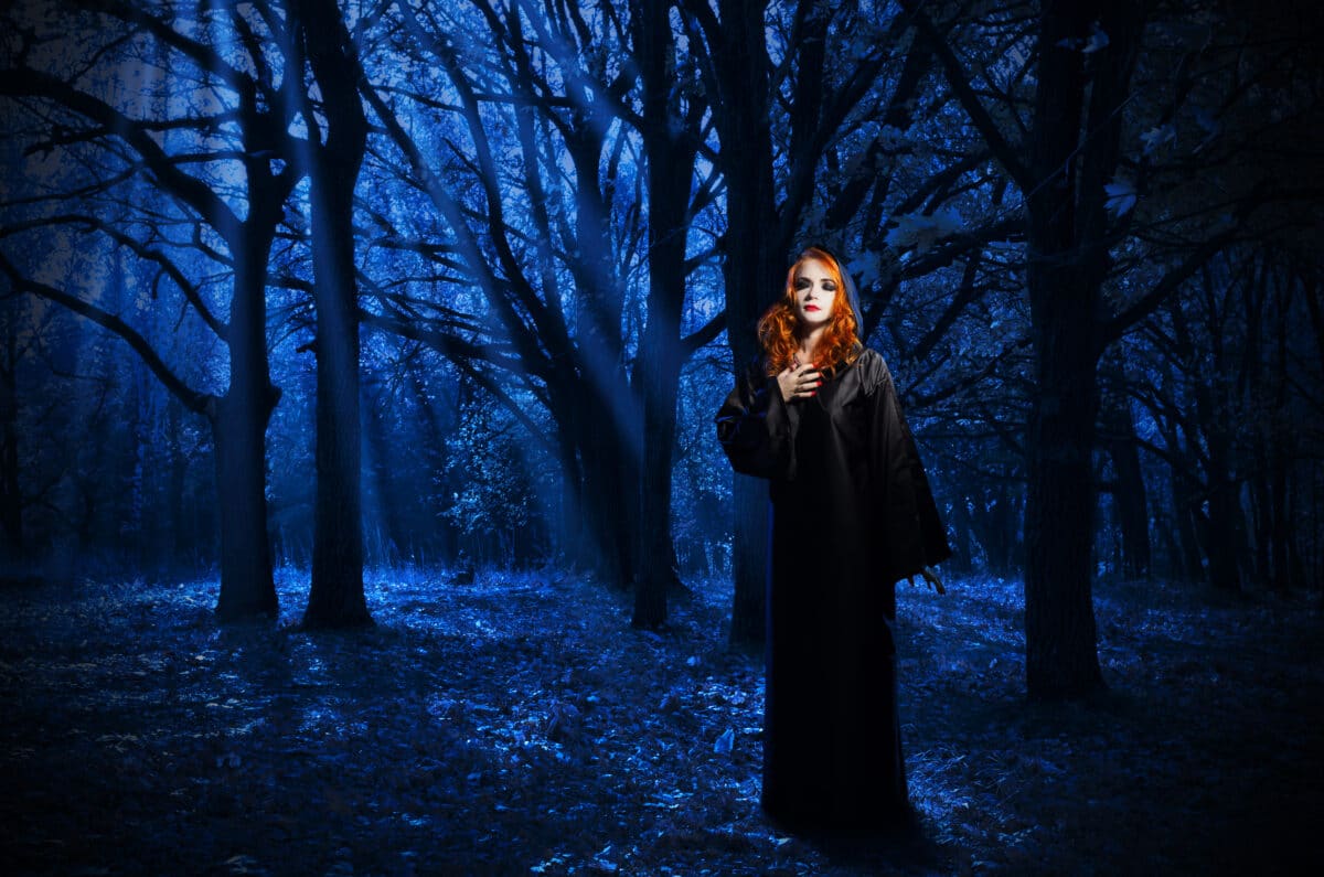 Witch in the night forest