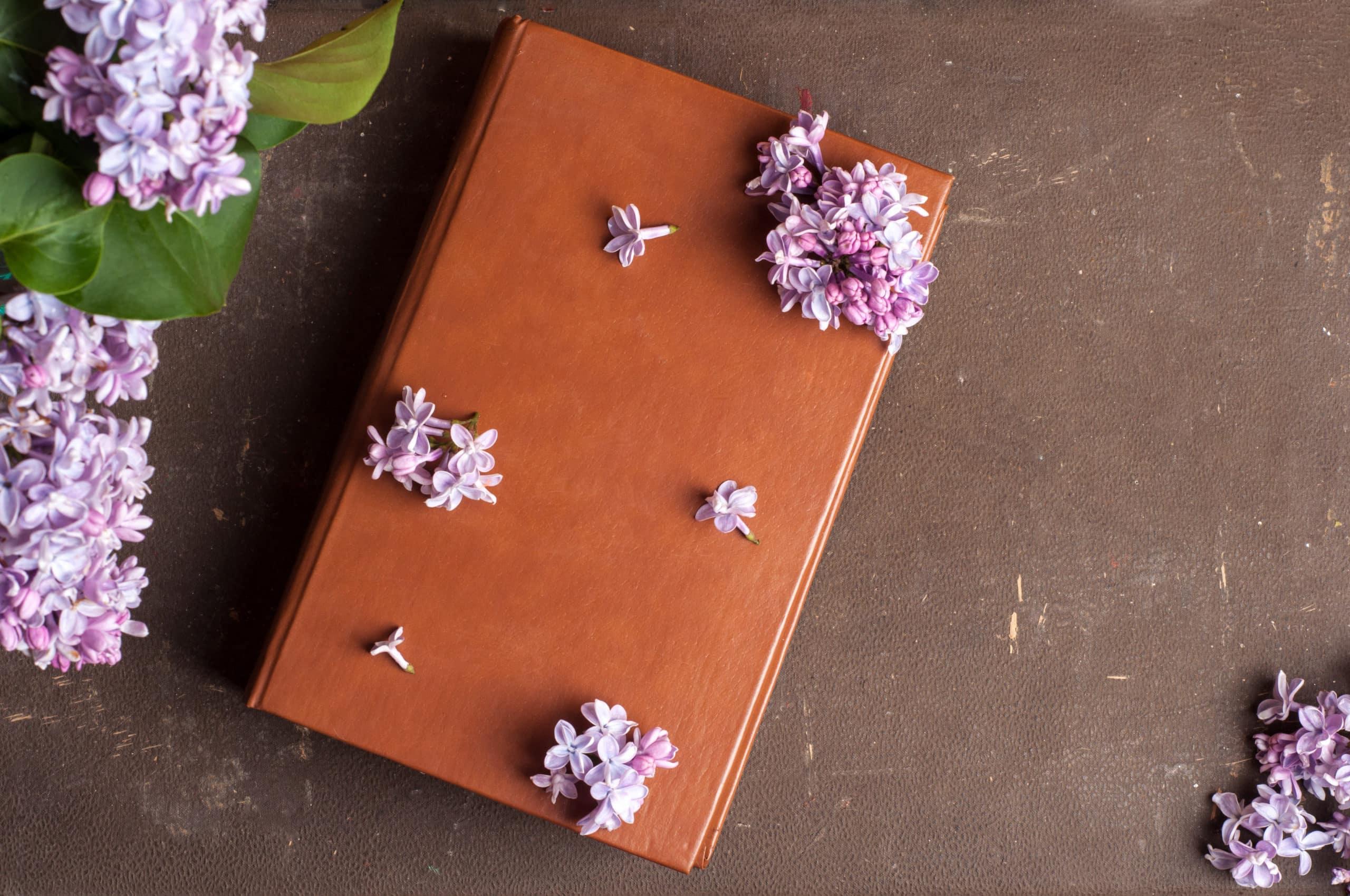 old book and branches of lilac on a brown background.