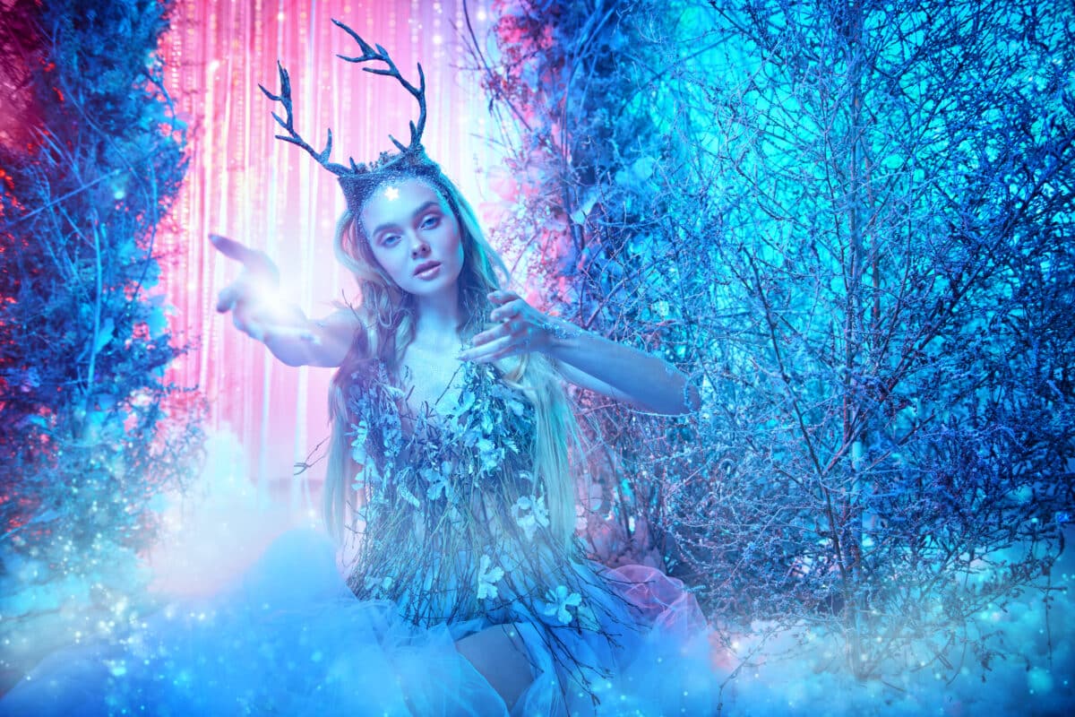 queen of the winter forest