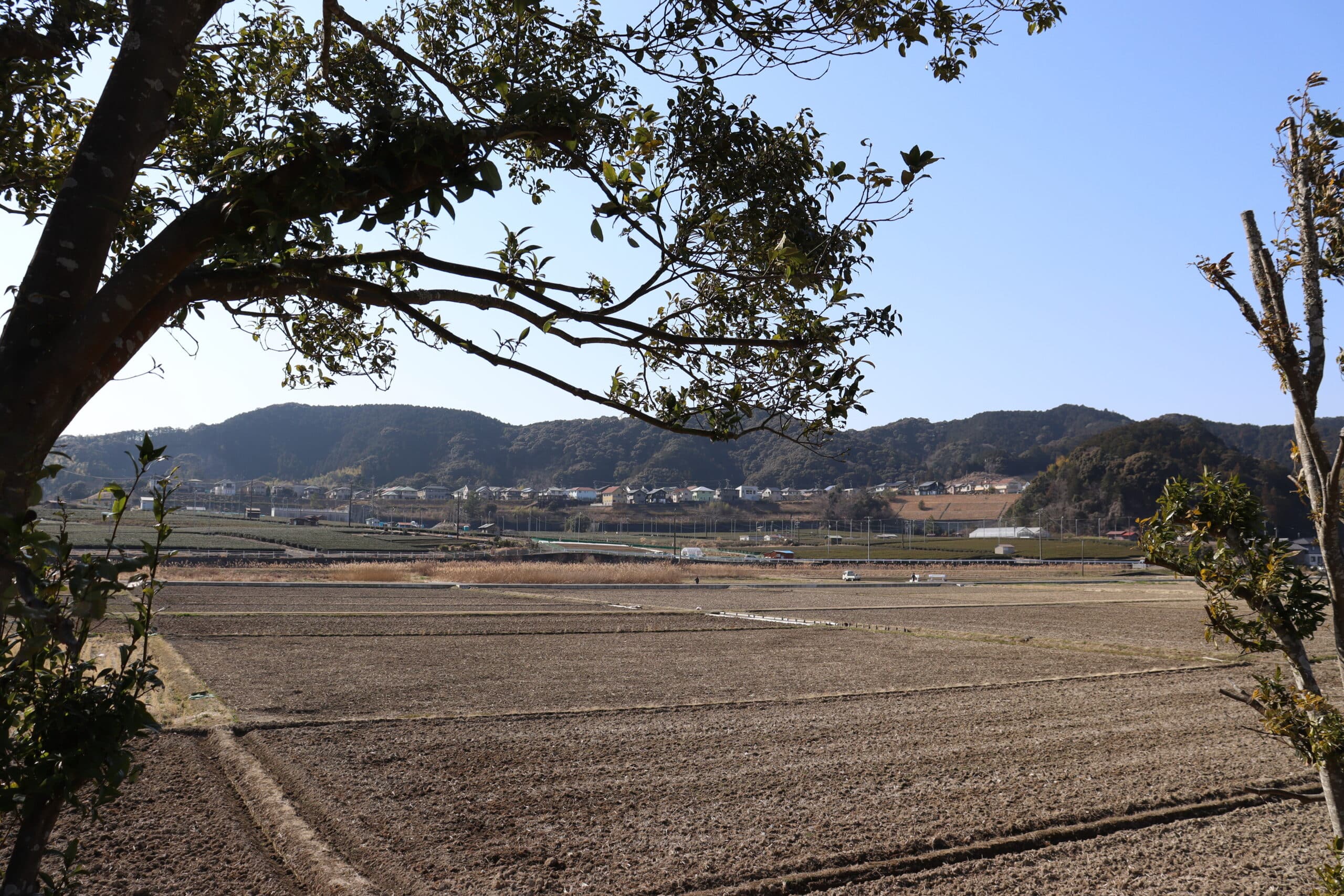 Rural view in Japan, spring 2021