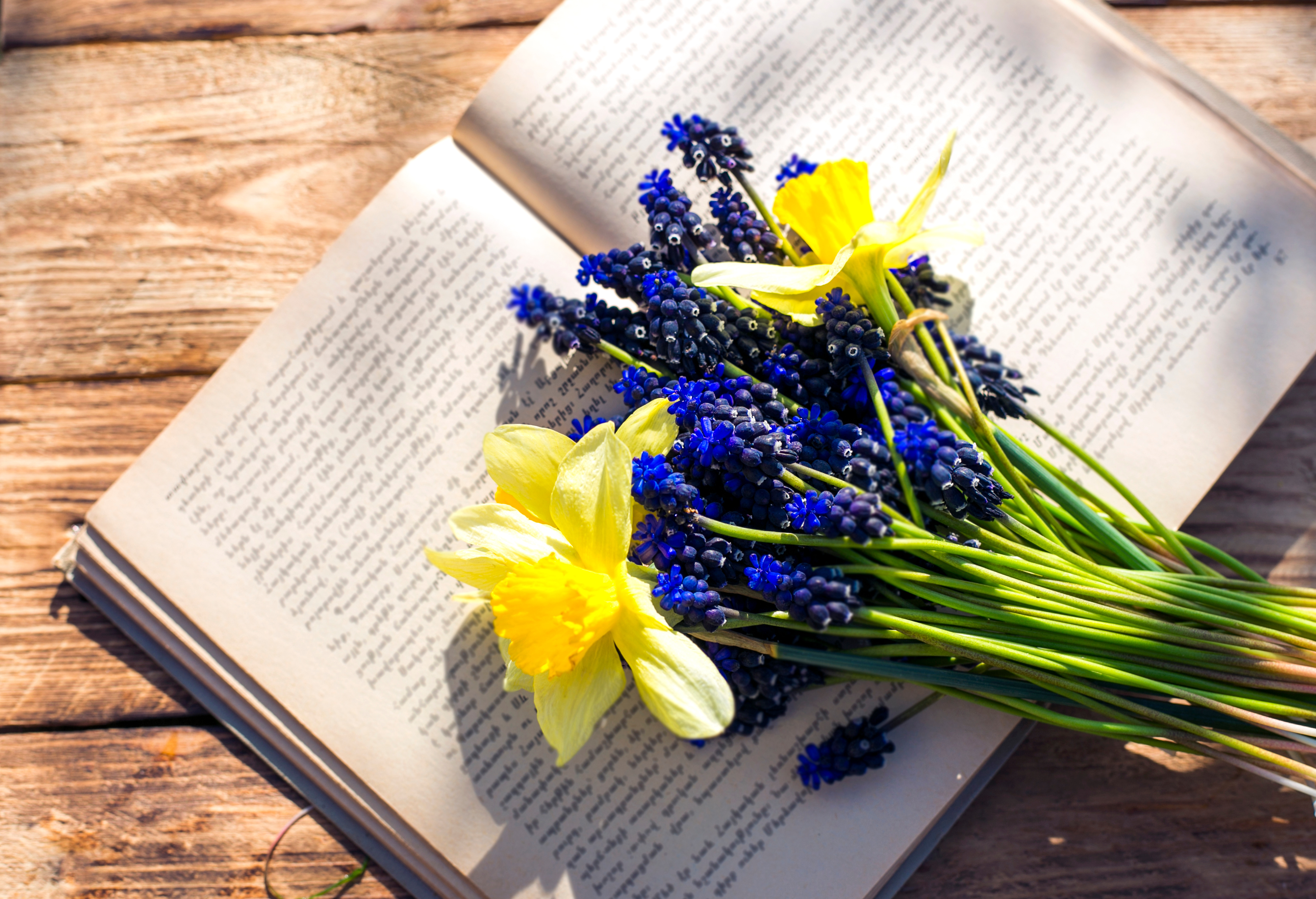 book and spring first  flowers in wooden background