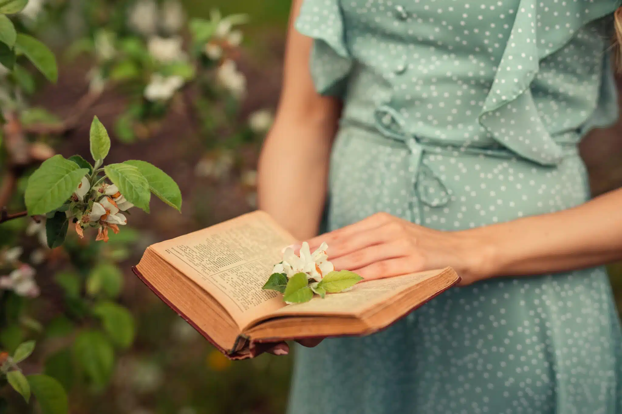 Old book in female hands with a flower