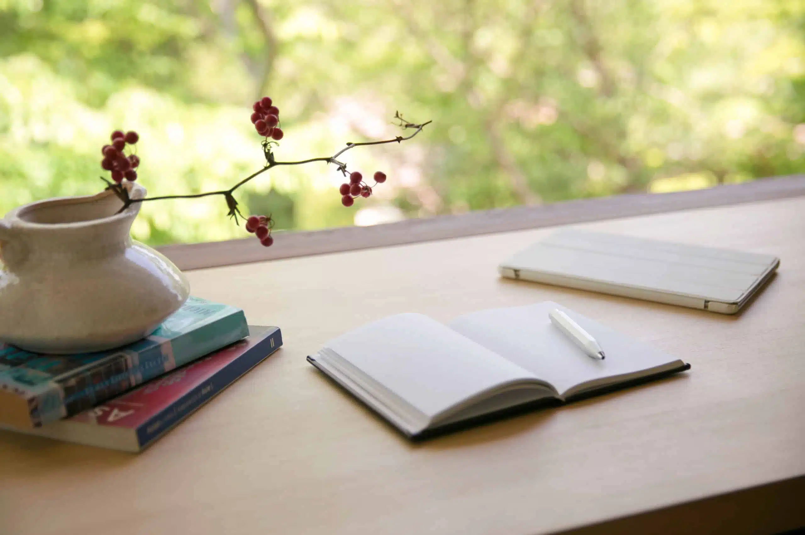 Notebook, pen, and books by the window.