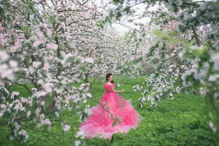 A beautiful young lady with long hair in a light pink ball gown standing in the middle of blooming apple trees.