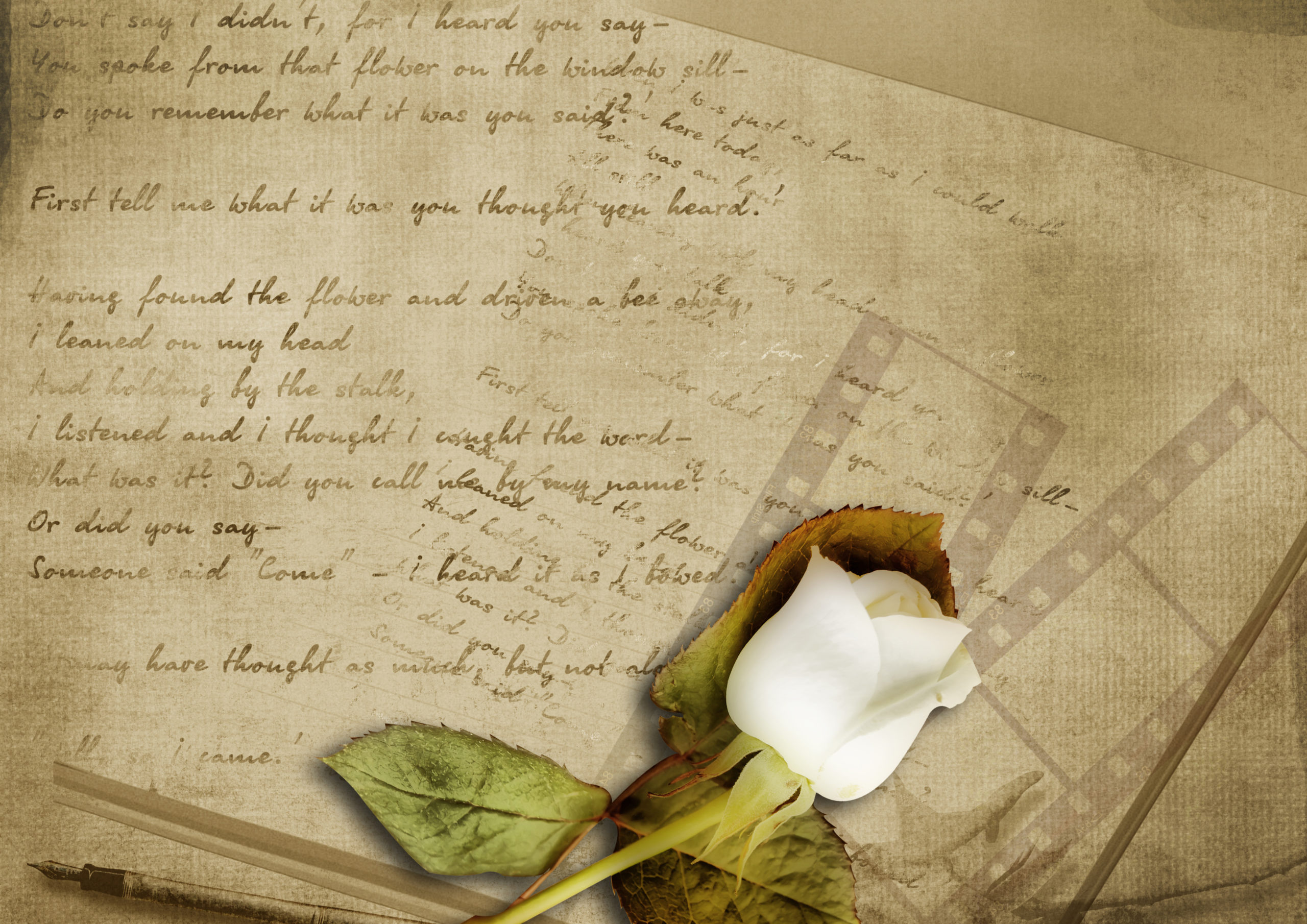 Vintage letter with a white stem rose.