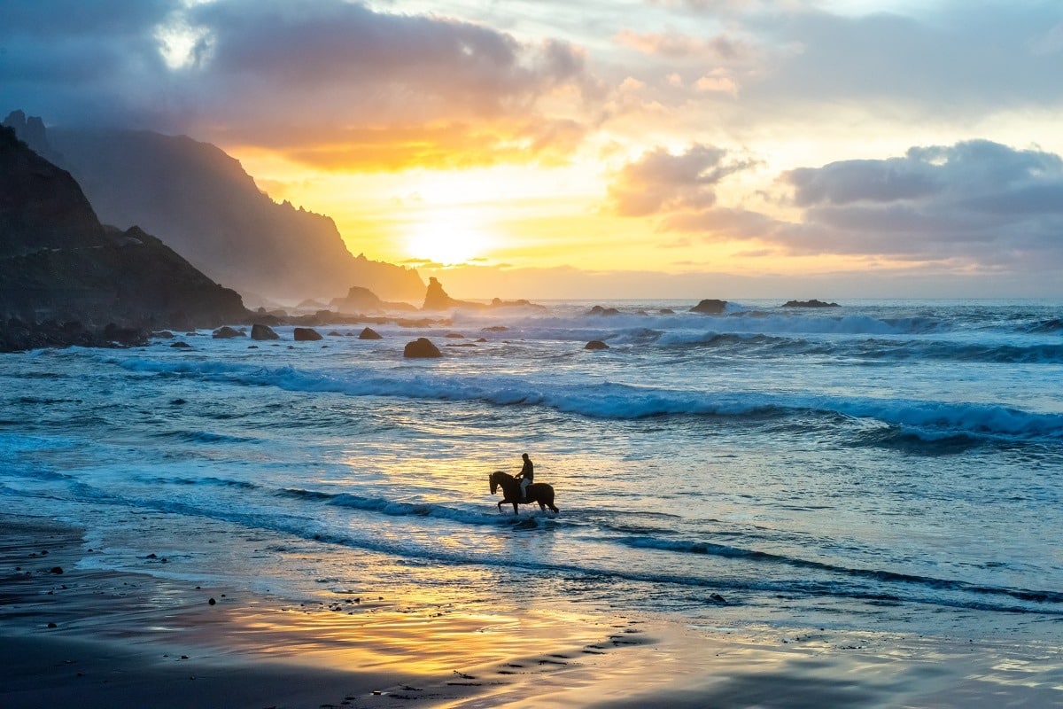 Man riding a horse on the beach at sunset.