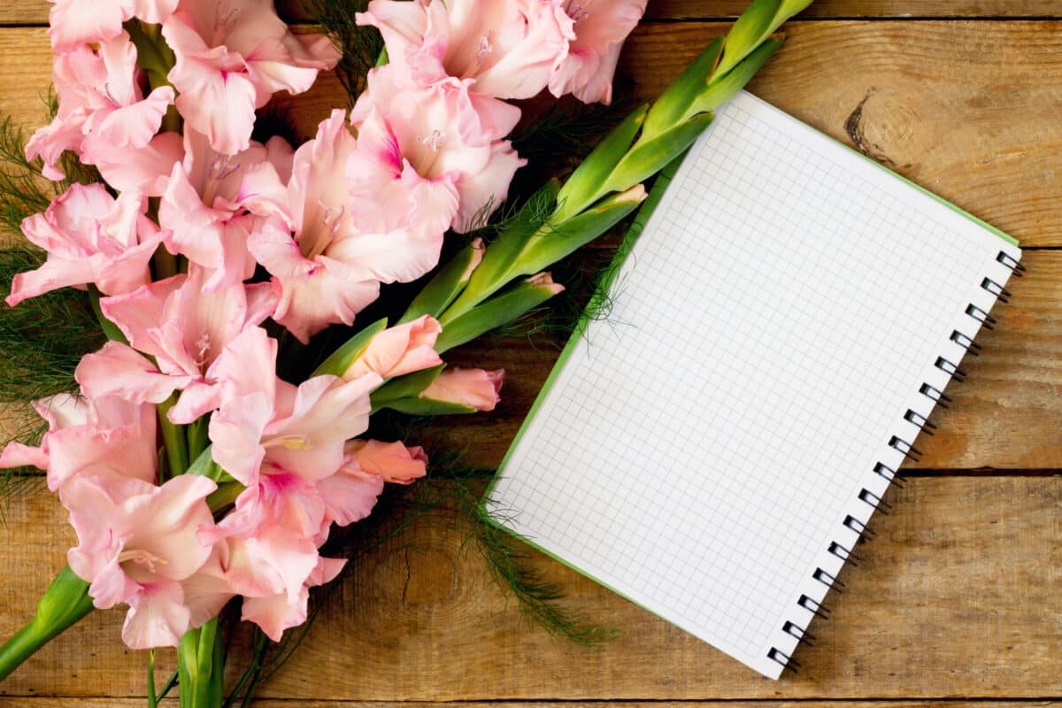 Flowers pink gladioluses and a notebook