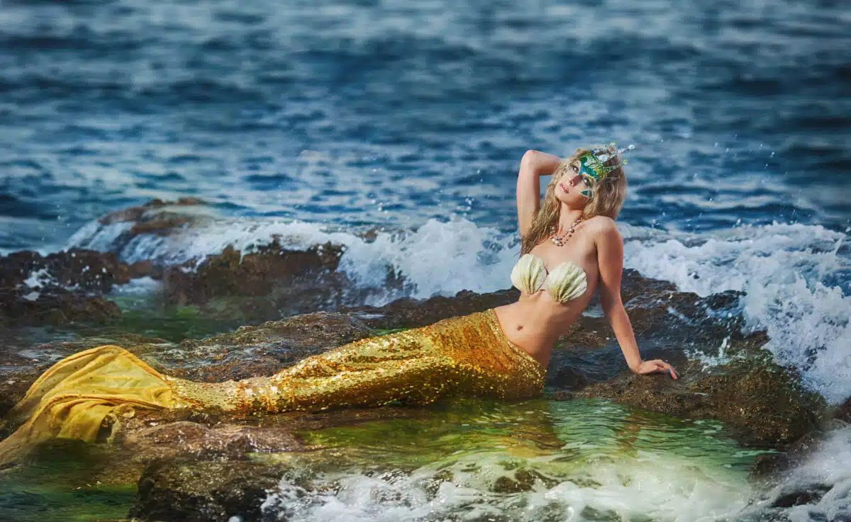 Beautiful fashionable mermaid sitting on a rock by the sea