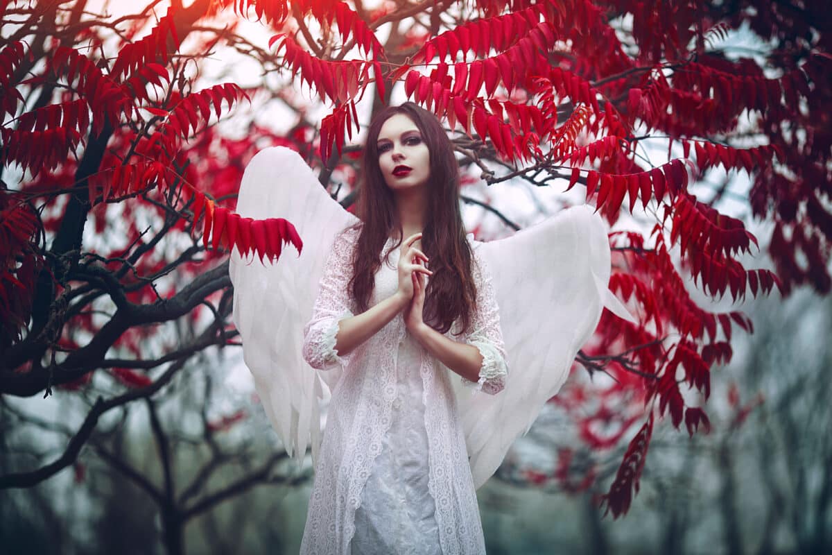 Art photo of a Angelic beautiful woman. A girl with angel wings and a white dress near blood-red trees.