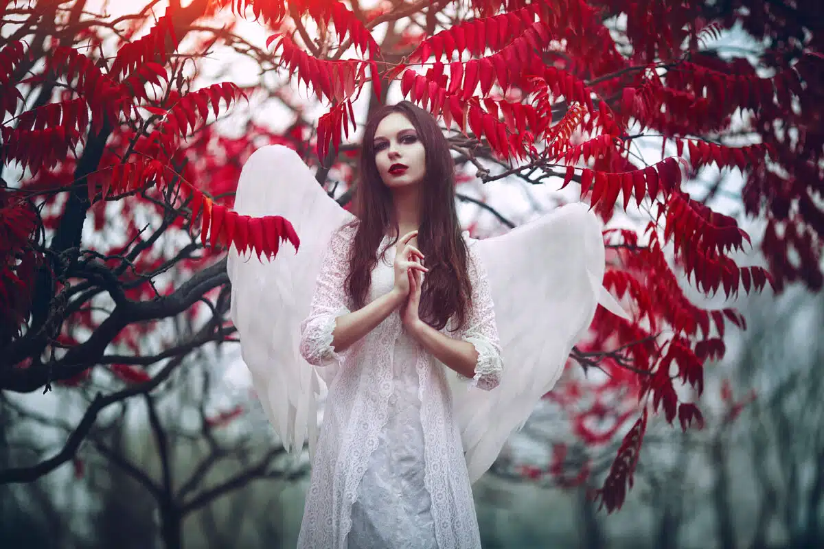 Art photo of a Angelic beautiful woman. A girl with angel wings and a white dress near blood-red trees.