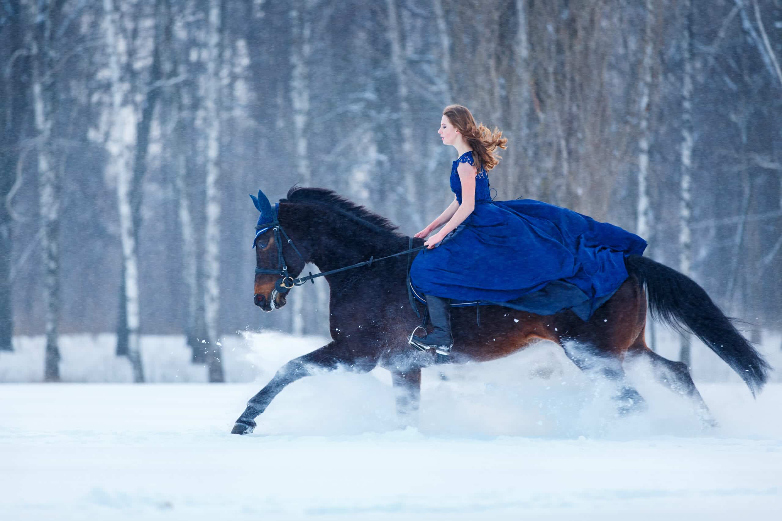 Woman in blue gown riding a black horse in snow covered woods