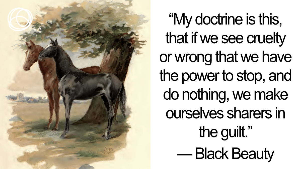Featured Black Beauty Quotes