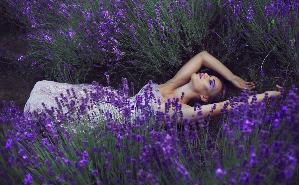 21 Best Poems About Lavender (Handpicked)
