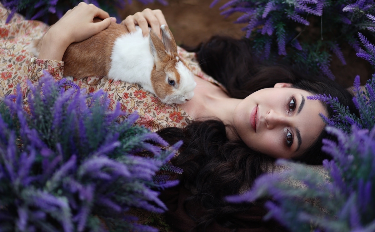 35 Best Poems About Rabbits (Handpicked)