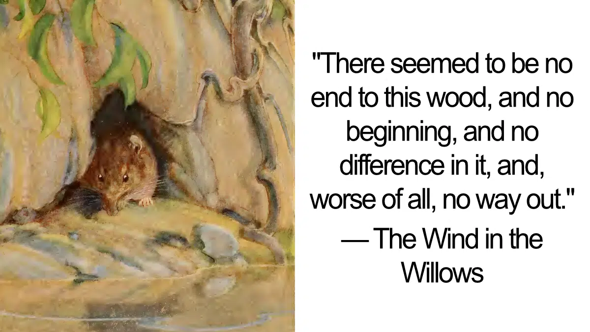 Featured Willow