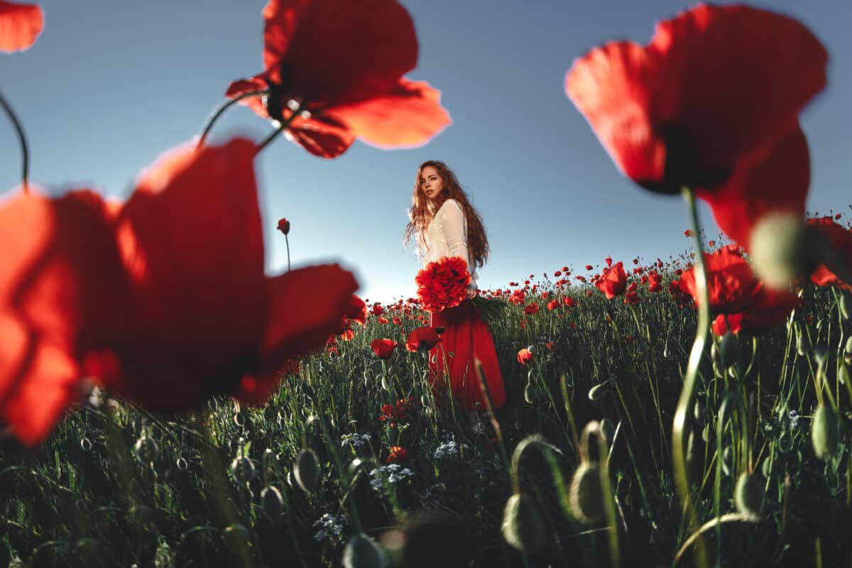 Beautiful woman in a poppy field