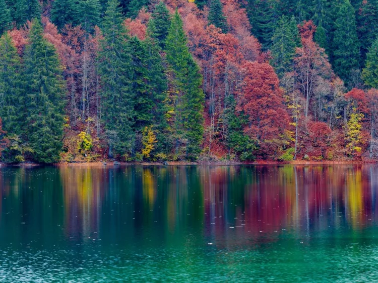 Reflection of autumn foliage along the shore of the lake