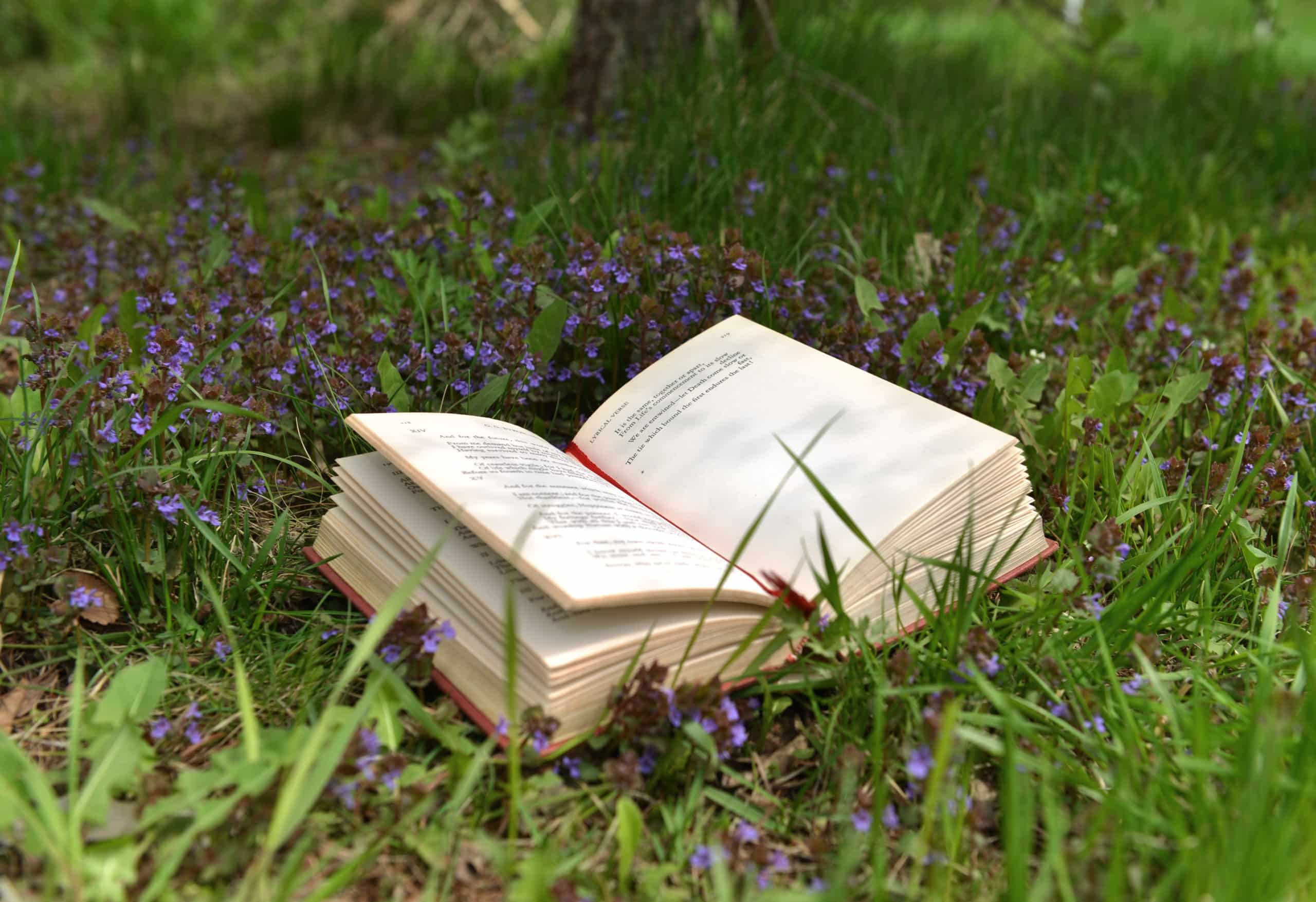 Open poetry book lying on field with wildflowers