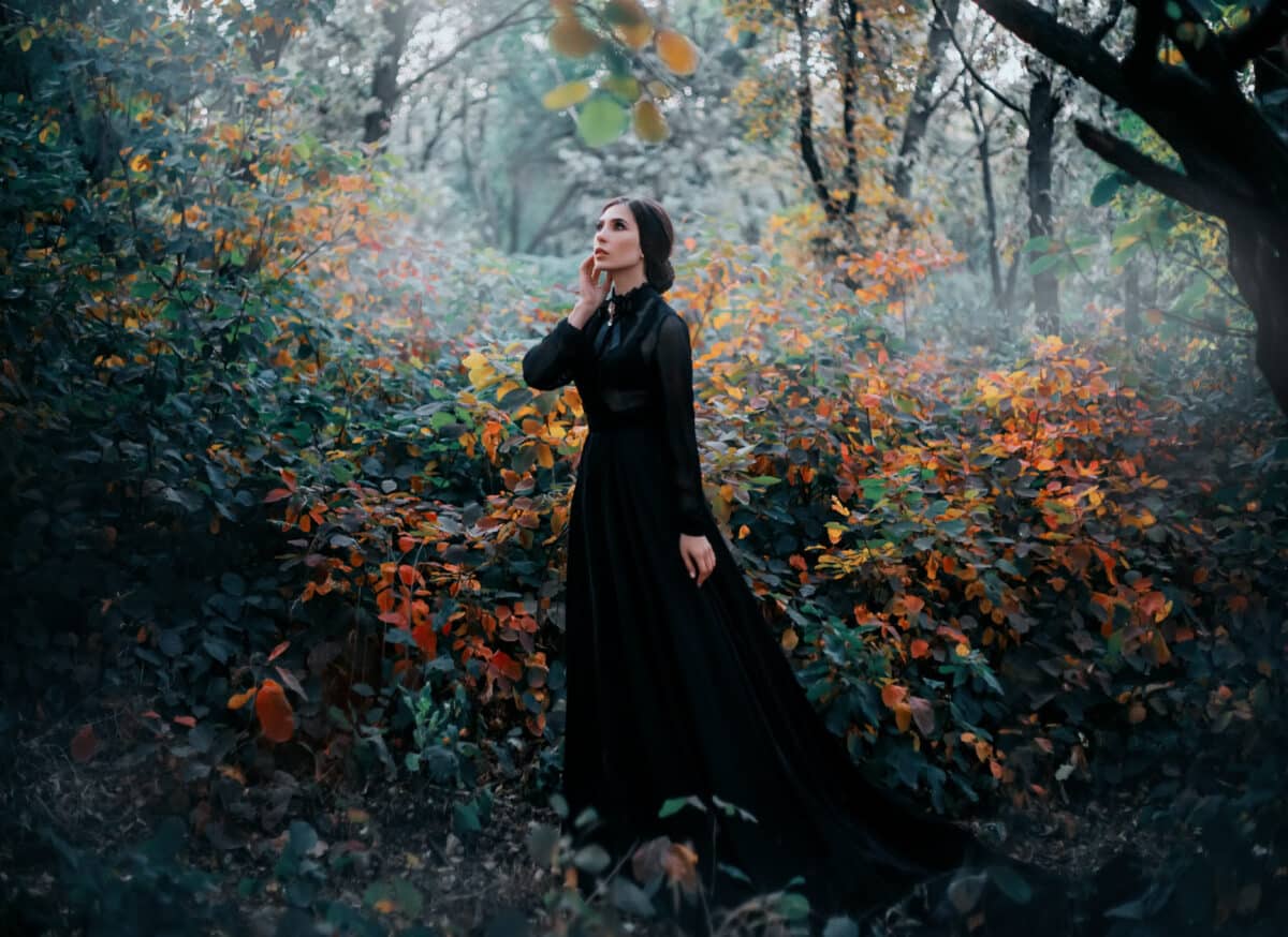 Beauty Gothic princess walks in autumn forest. Fantasy mystical dark backdrop. Autumn foggy nature, yellow trees, cold light. Glamorous long black fashion dress. Elegant bundled hairstyle. Goth queen