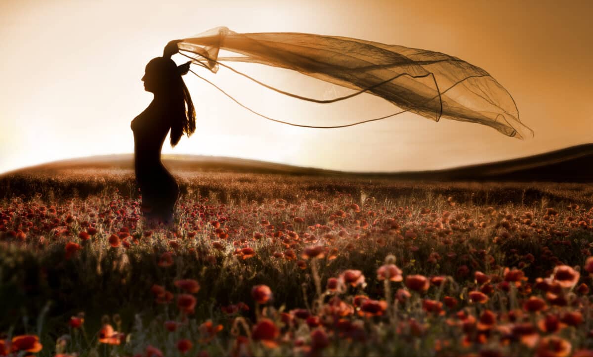 Silhouette of a beautiful woman in the poppy field at sunset