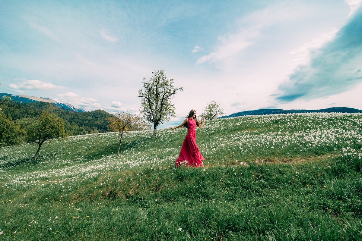 lady in red dress walking in the daffodil field