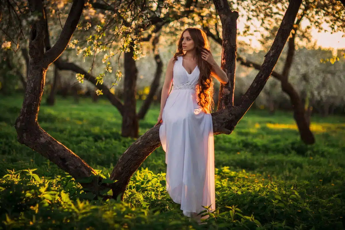 a pretty noble lady with long hair sitting on a tree at sunset in the spring
