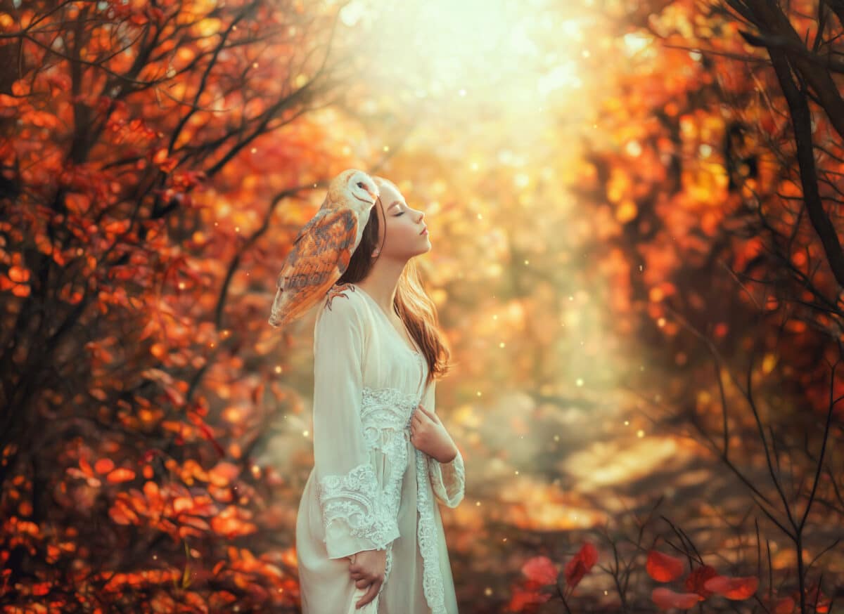 Fantasy portrait girl princess teenager enjoys nature with white bird barn owl on shoulder. Eyes closed pretty face enjoying nature, magical divine sun light. Autumn nature forest trees. vintage dress
