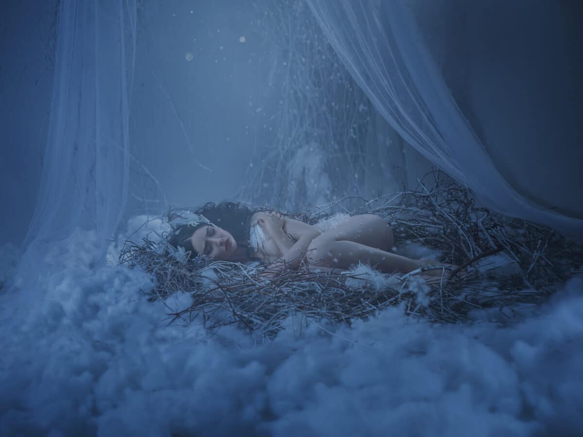 The girl bird sleeps in her nest, she froze, and shrank into the embryo pose in the hope of warming. A beam of light and snow falls on it. Background white wall, twigs, tulle and fluff. Artistic Photography