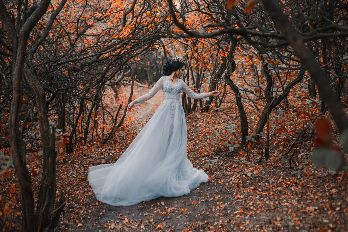 A young princess walks in a beautiful silver dress. The background is grim autumn nature. Artistic Photography