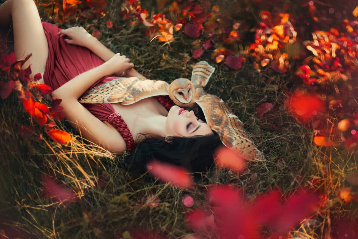 bright photo in burgundy shades, girl in dark dress color of Marsala, lady with dark hair lies on grass, fallen red and yellow leaves, barn owl spread its wings on sleeping fairy and protects sleep.