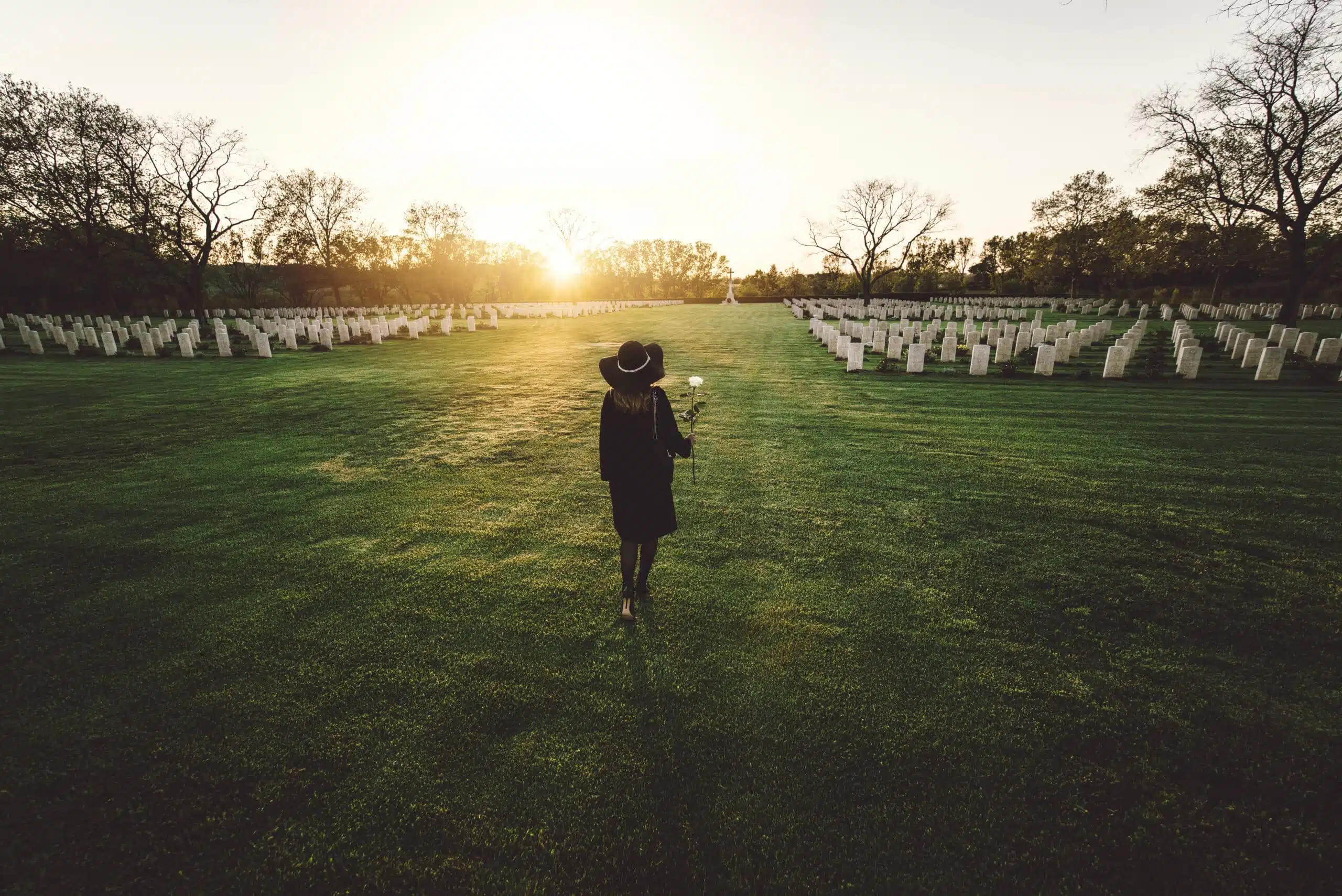 solitary woman in black holding a white rose as she walks toward tombstones of fallen national heroes