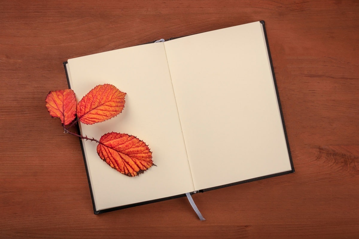 An open journal with autumn leaves on a dark rustic wooden background.