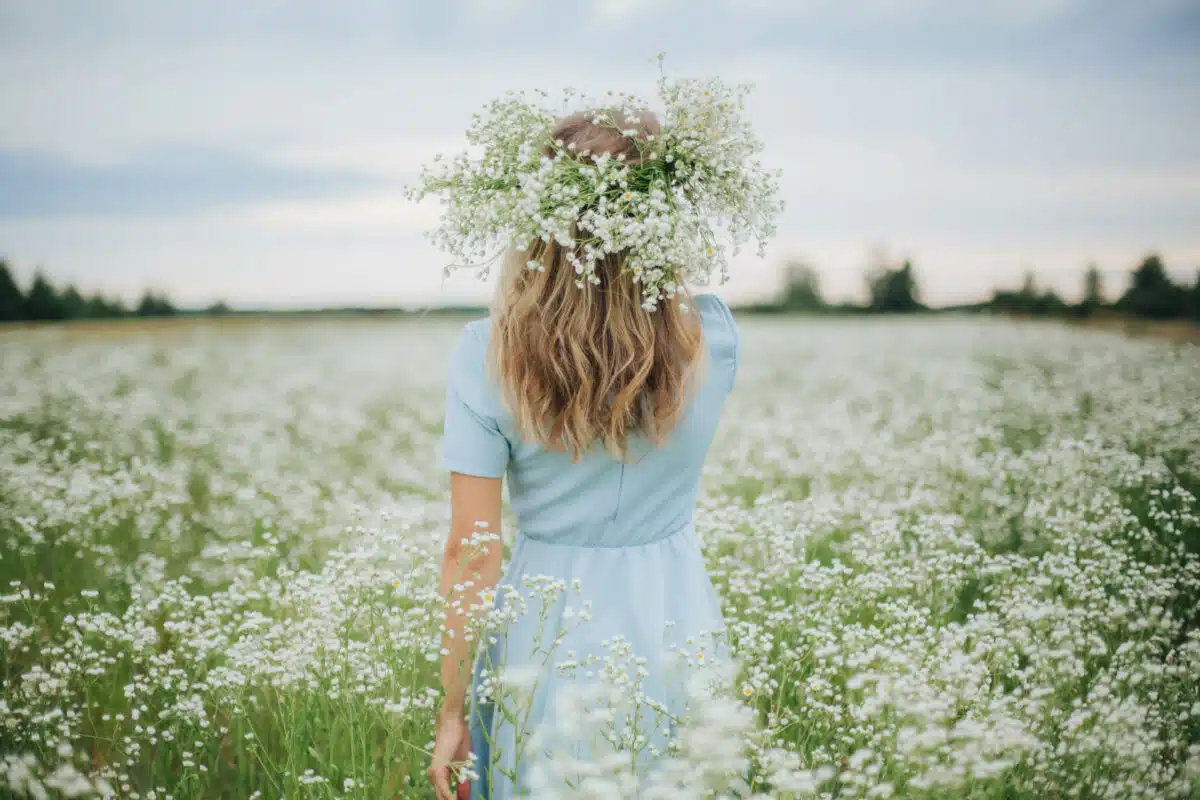beautiful blonde girl with a head wreath in a field of wild daisies