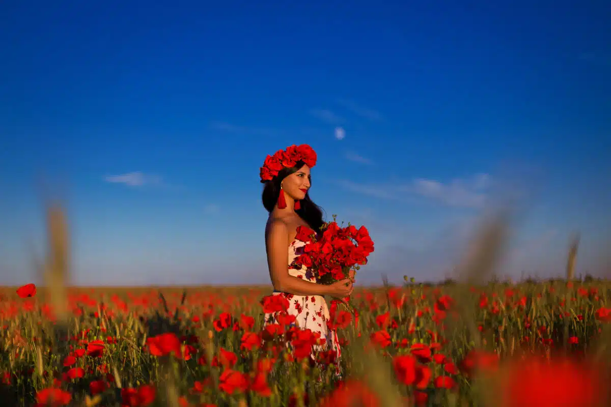 A beautiful brunette girl in a wreath and with a large bouquet of poppies in her hands standing in a blooming field. Summer sunset portrait.