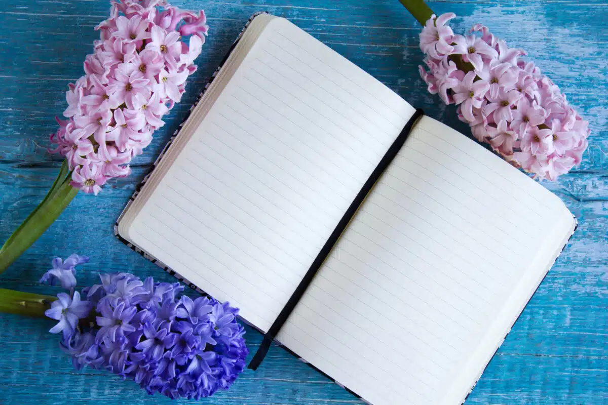 Background with a notebook and hyacinths