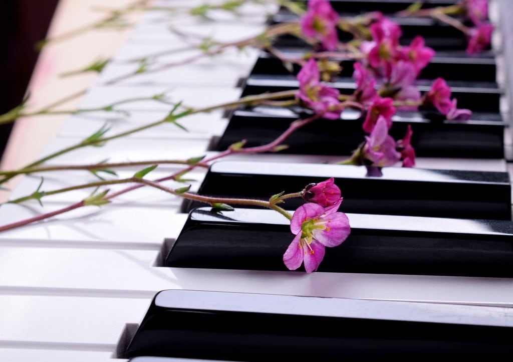  Little pink flowers on the piano keys.