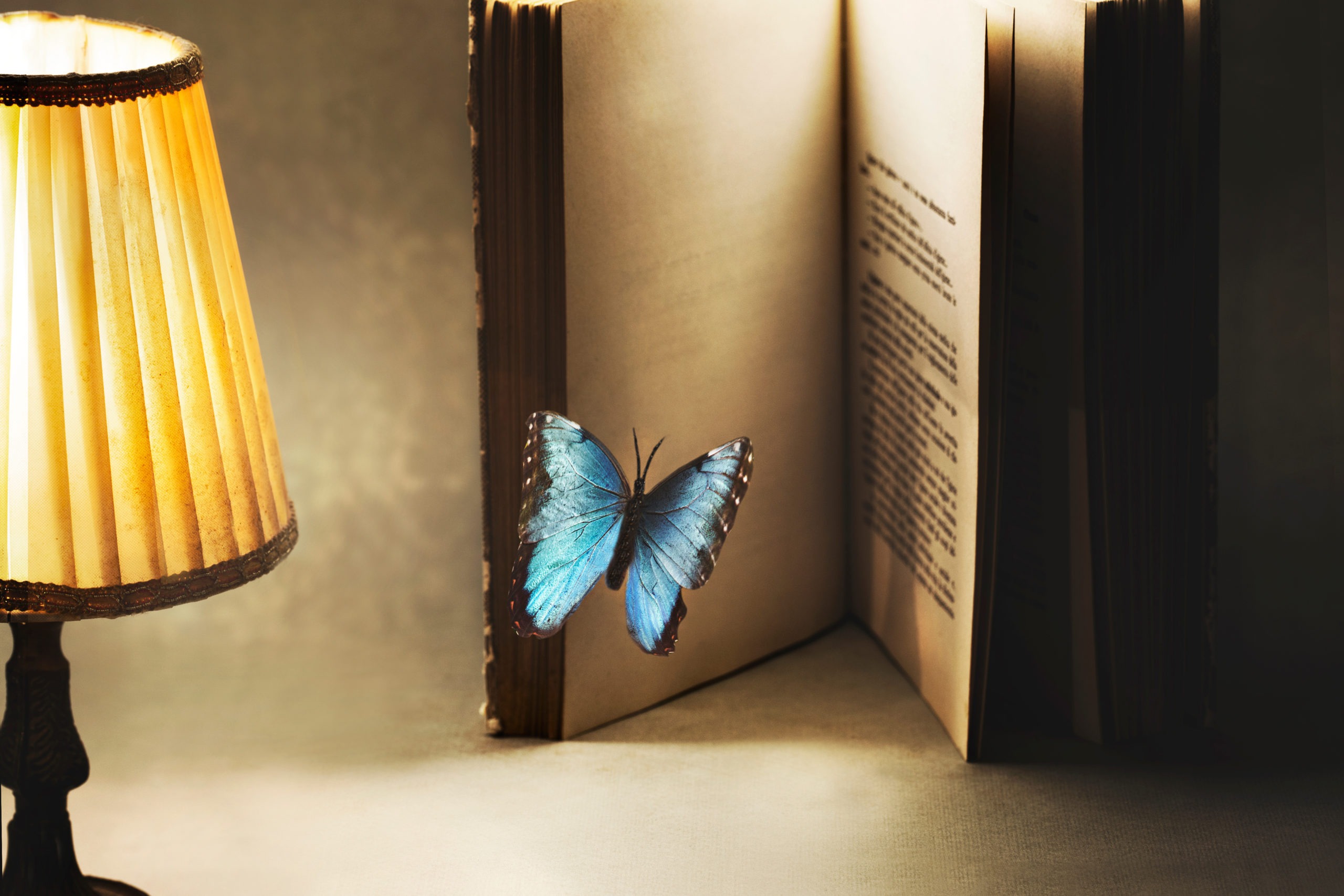 Surreal butterfly entering the pages of a book with a lit lamp beside it.