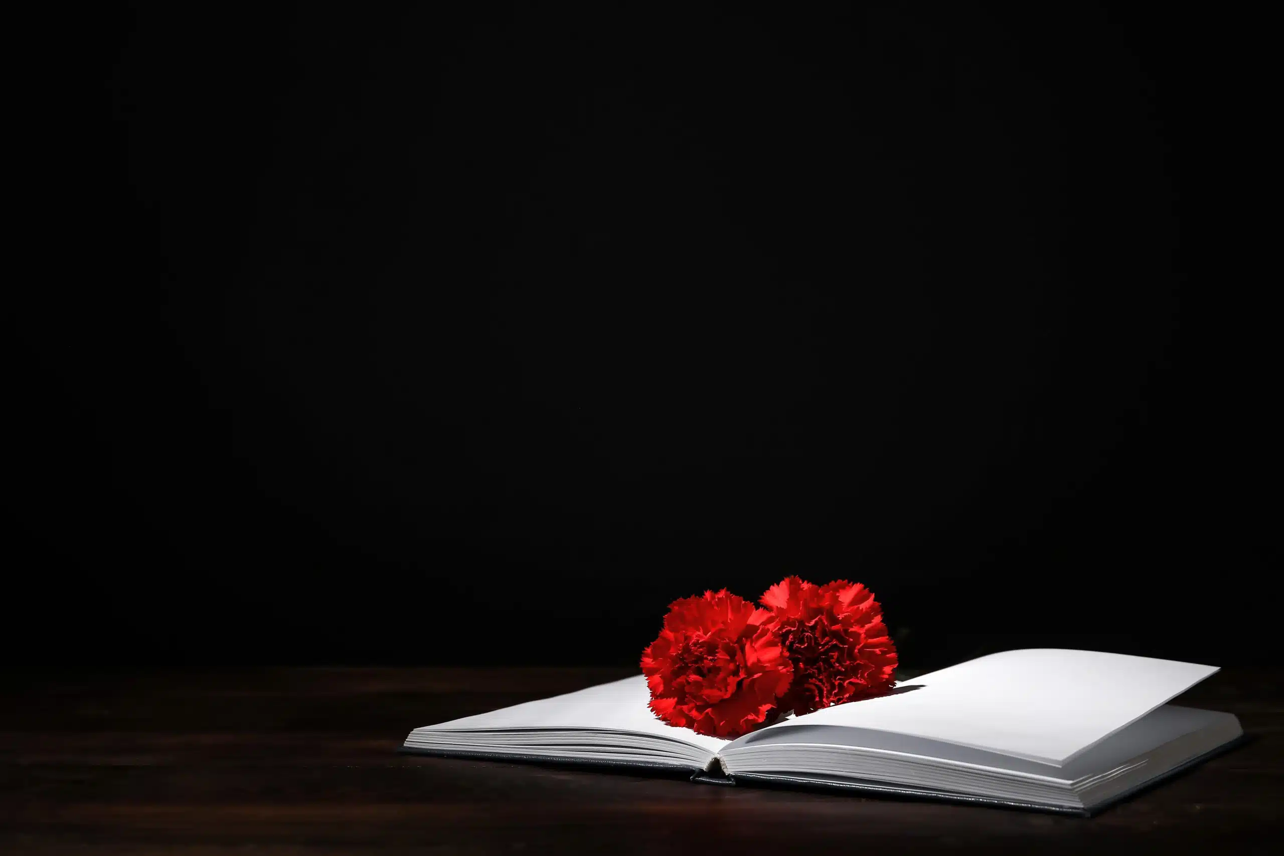 Book with carnation flowers on table against black background