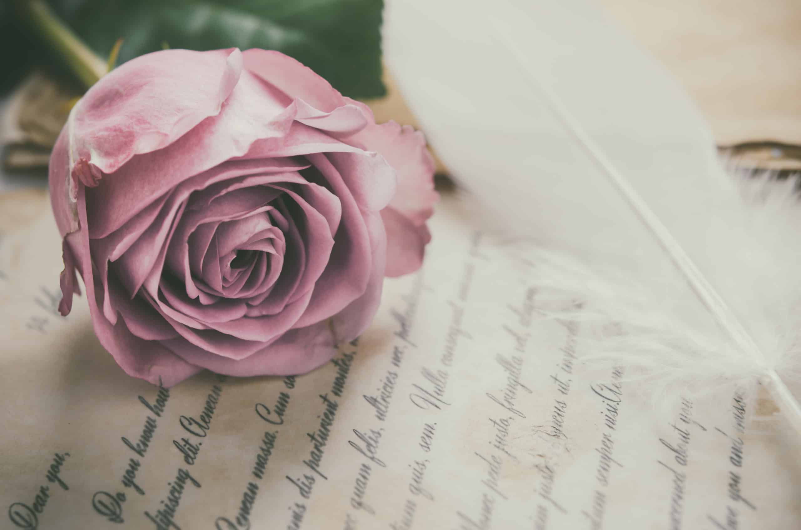Pink rose on top of vintage love verses.