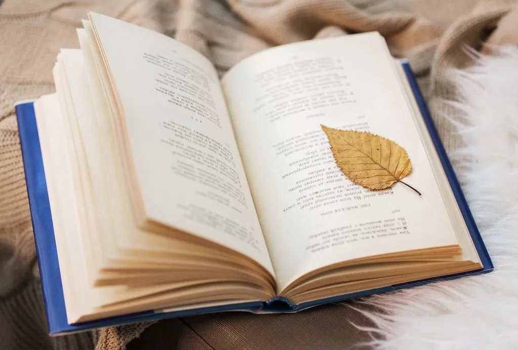 Poetry book with autumn leaf on blanket at home.