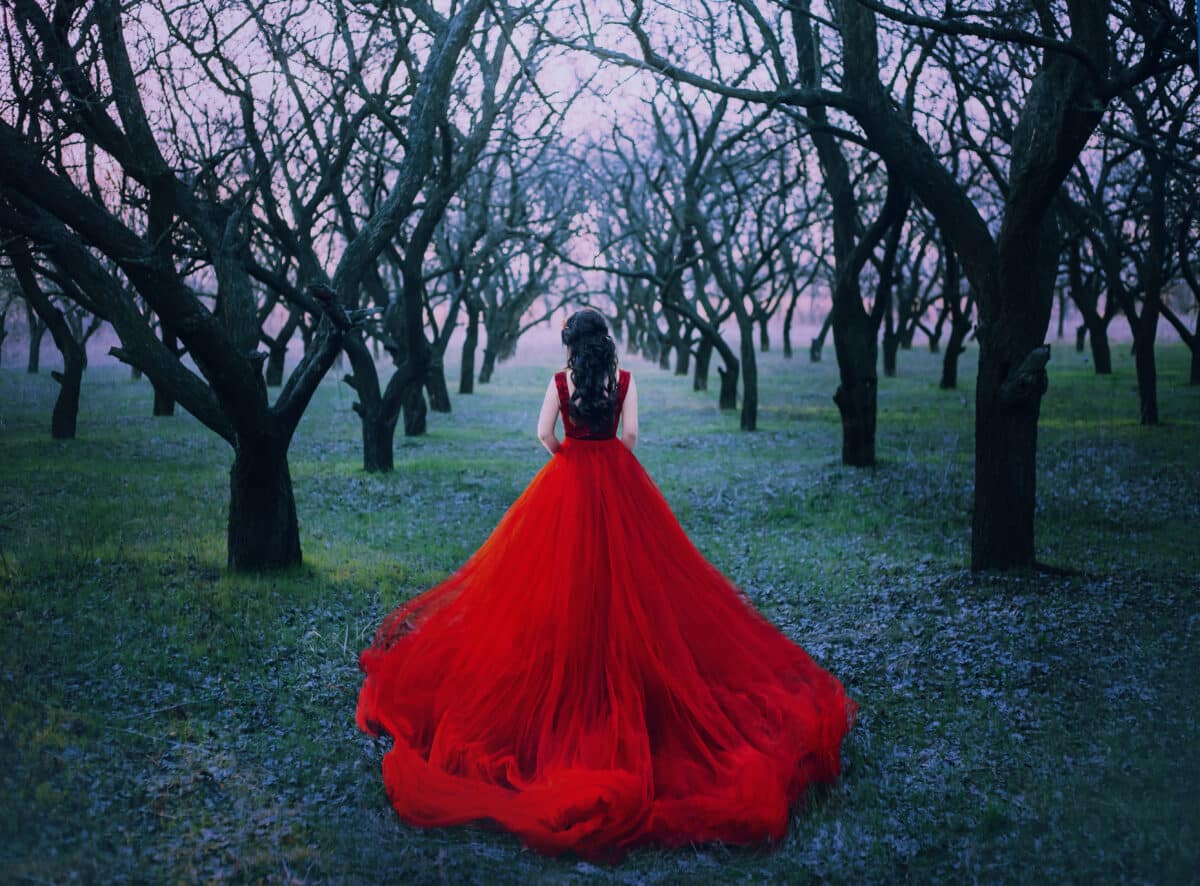 woman princess walk enjoy autumn forest nature back view. Lady Witch queen brunette wavy hair. Red vintage luxury tulle fluffy magnificent dress long train. spring park garden black bare tree trunks