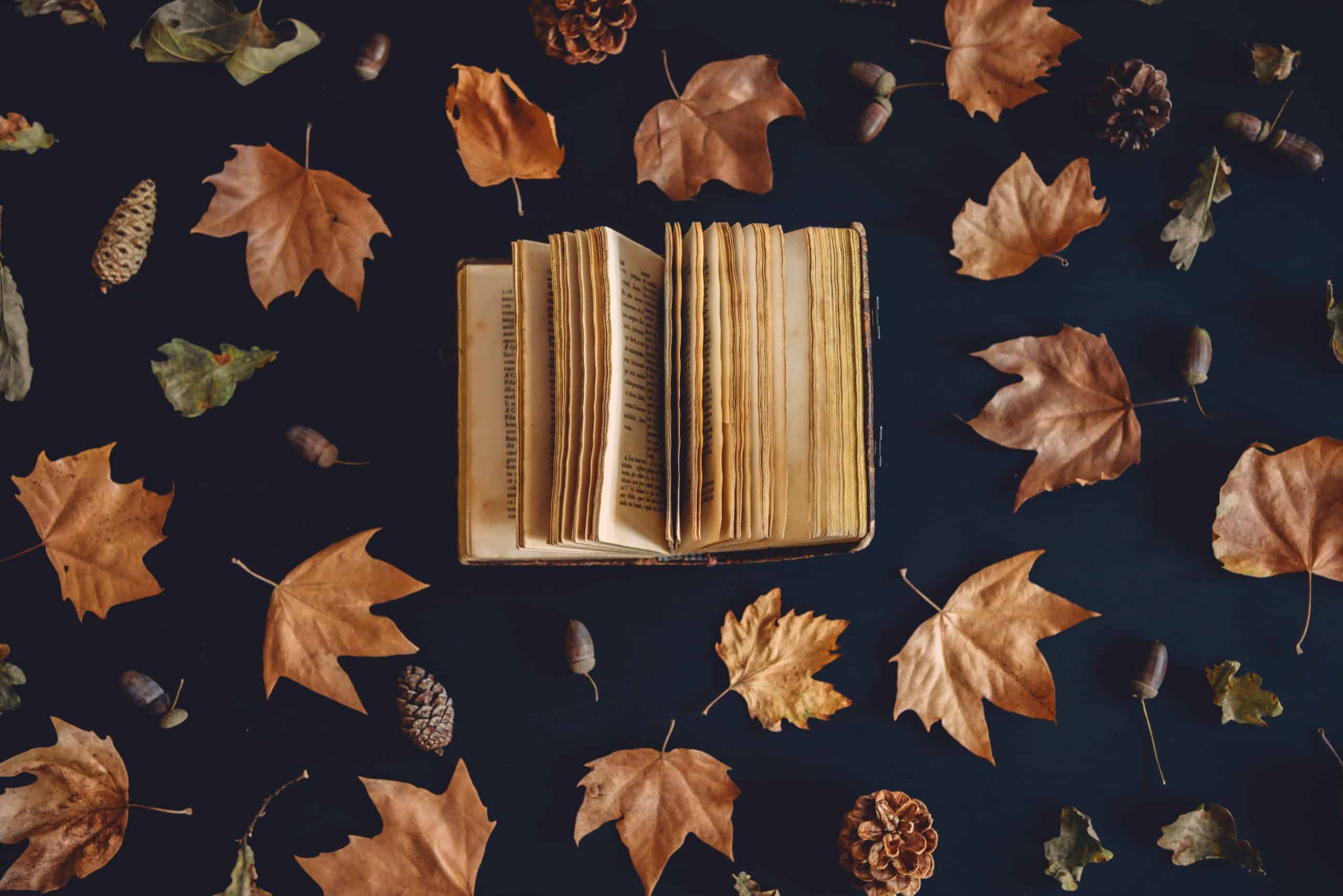 Vintage book and autumn maple leaves on dark background.