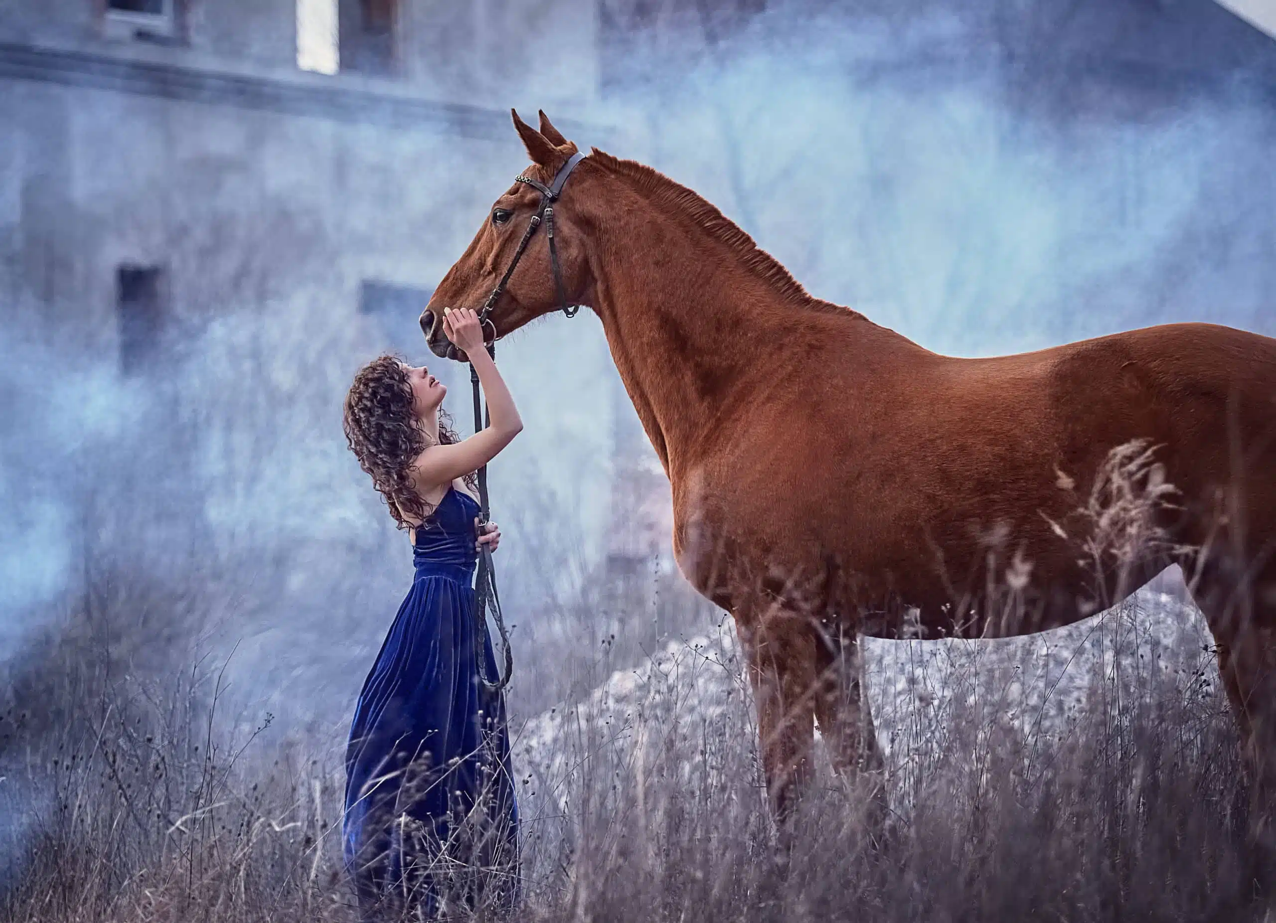 A beautiful curly-haired girl in a blue dress stands next to a red horse.