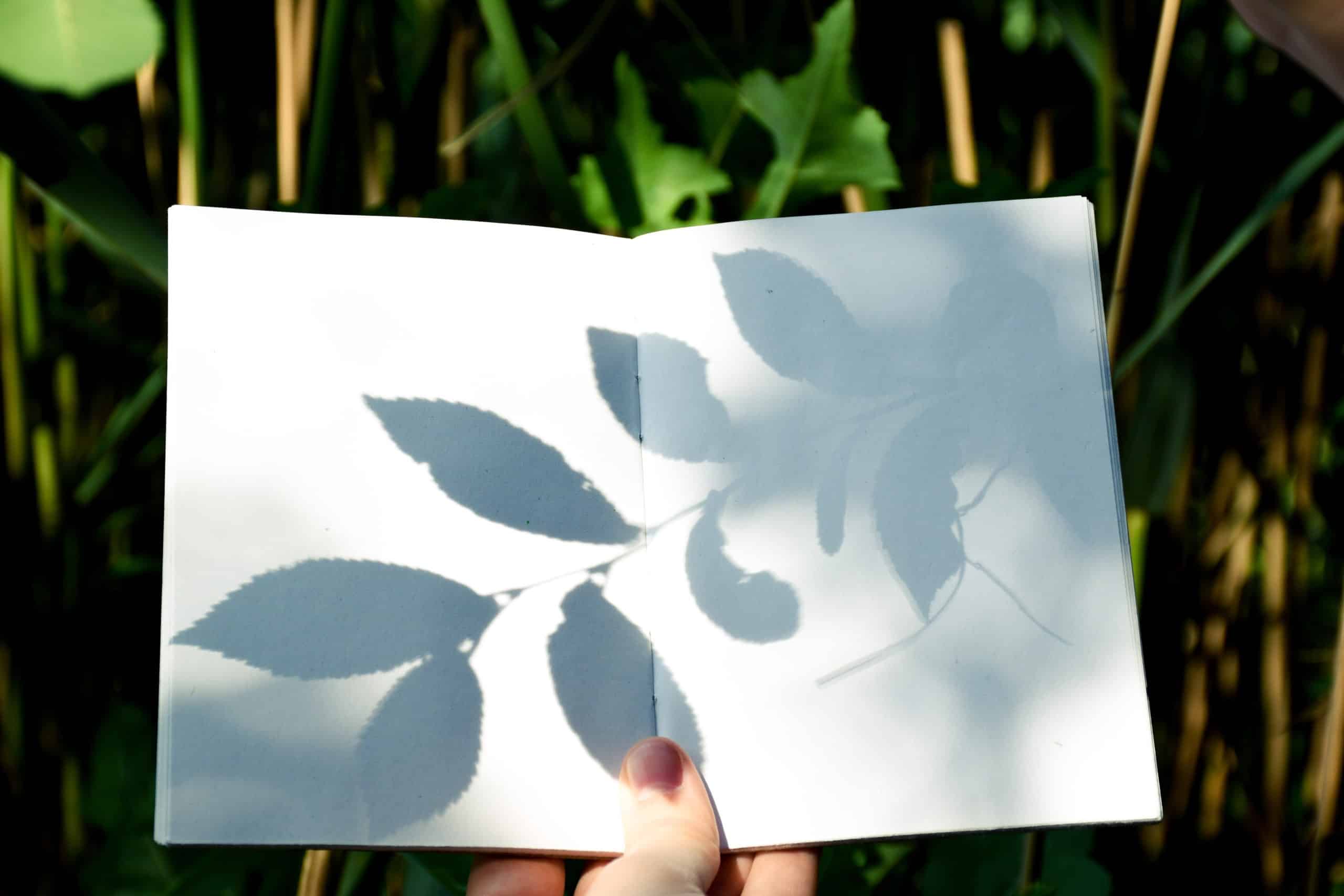 Blank book in hand with empty pages with a plant shadow on it